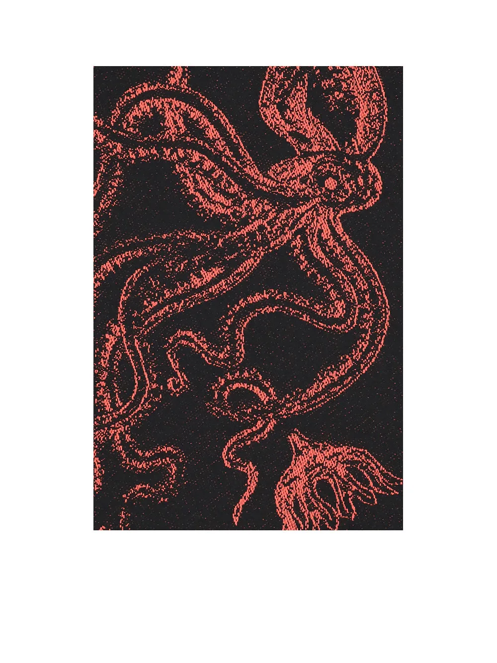 Alexander McQueen Jacquard Fringed Scarf