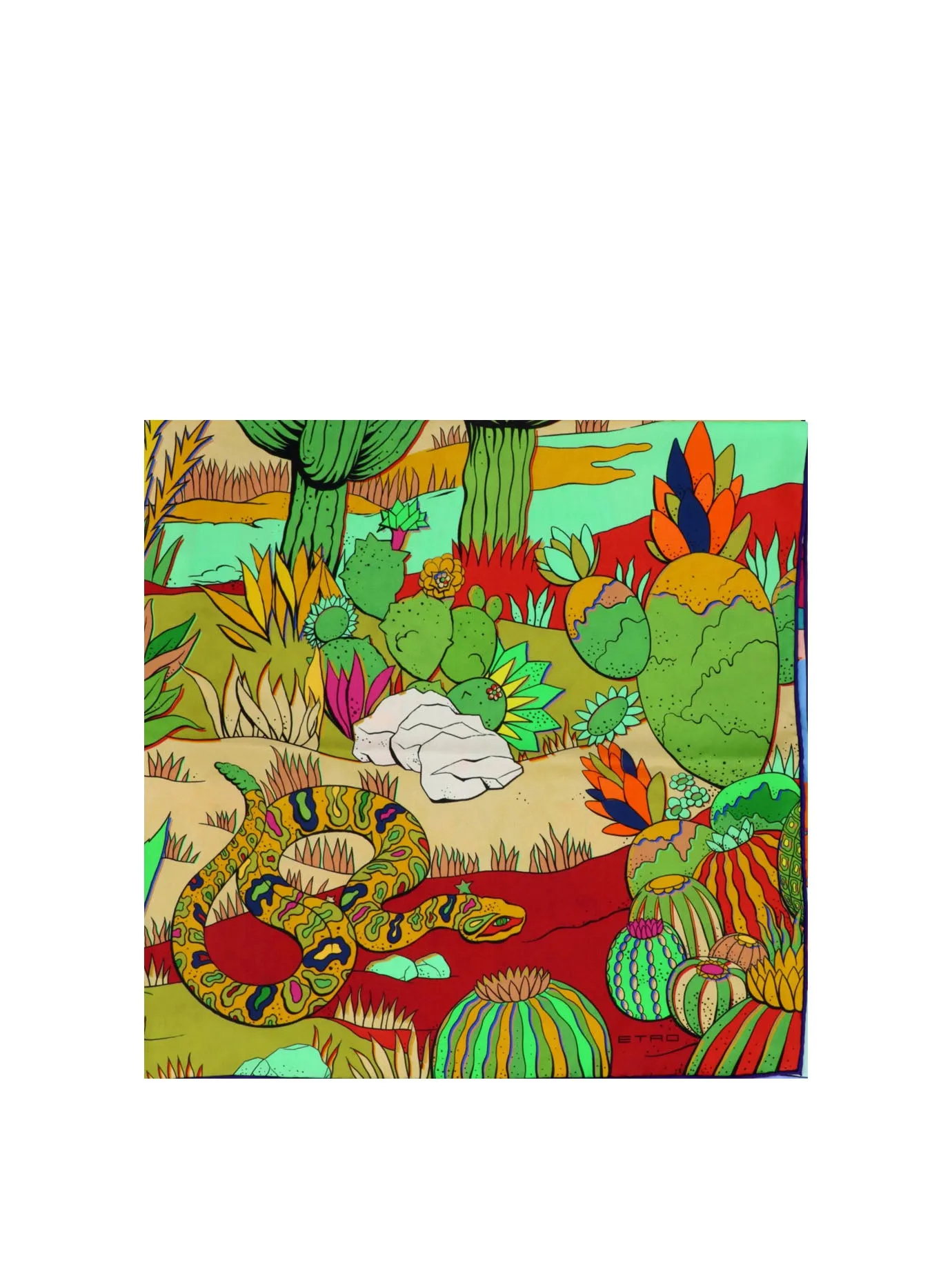 Etro All-Over Printed Scarf