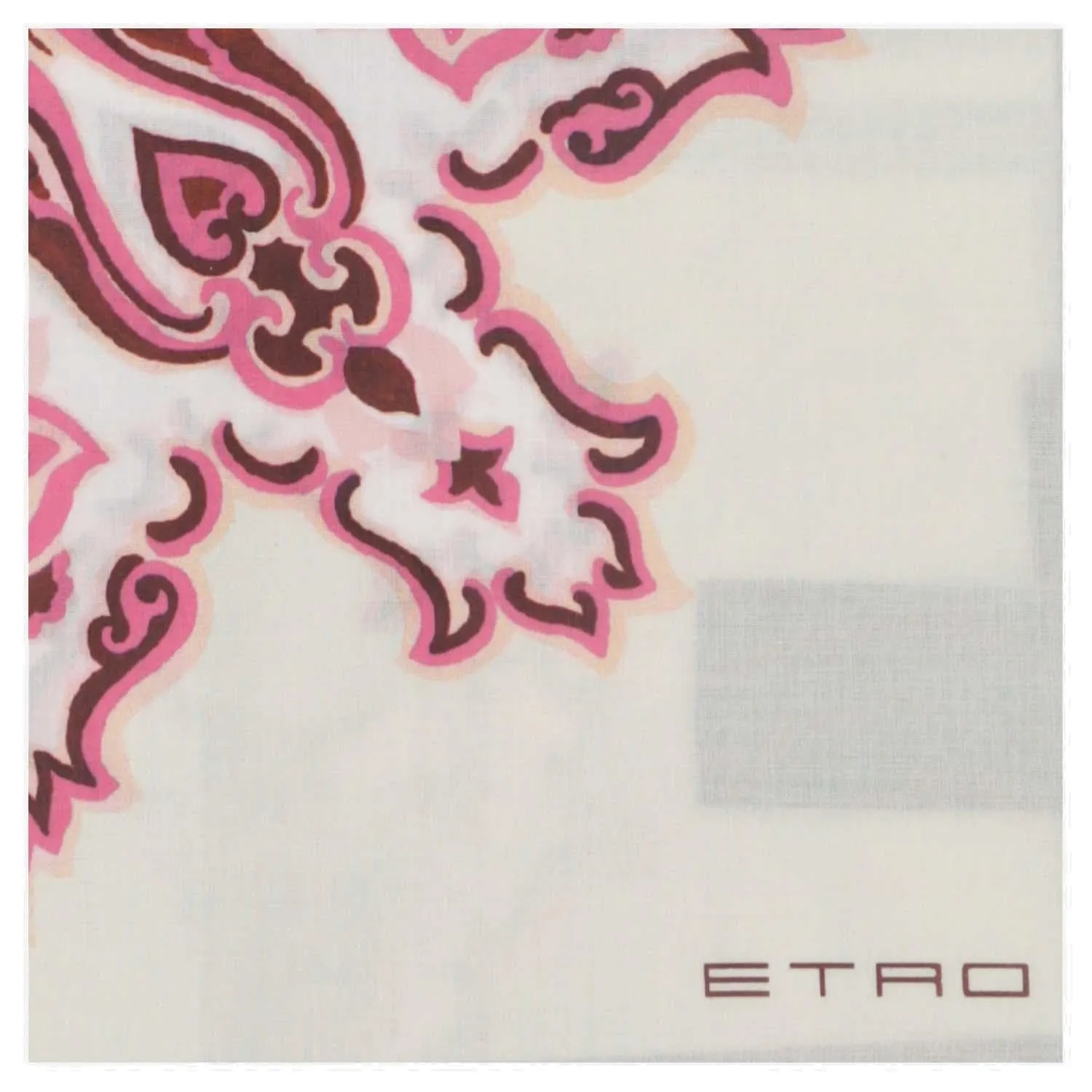 Etro Paisley Printed Scarf