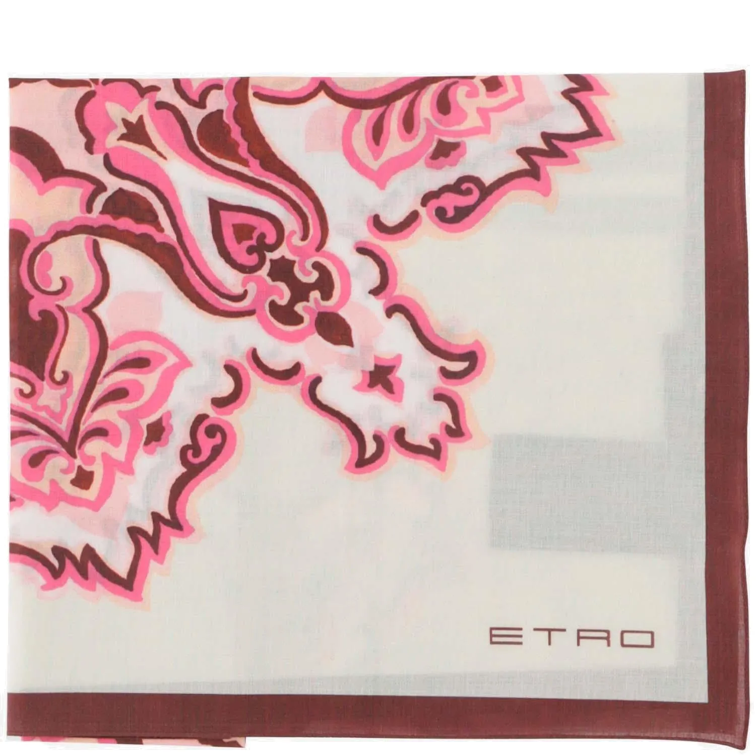 Etro Paisley Printed Scarf