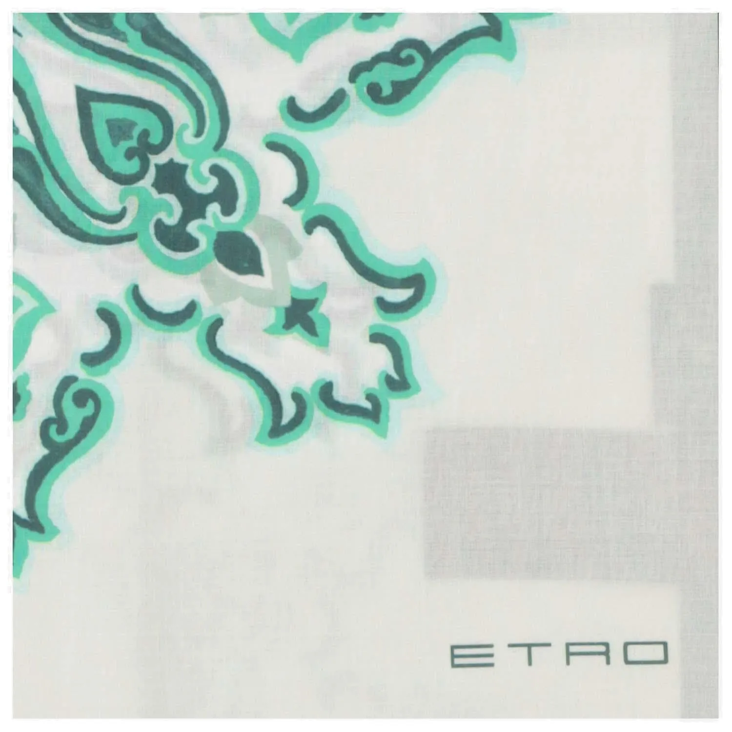 Etro Paisley Printed Scarf