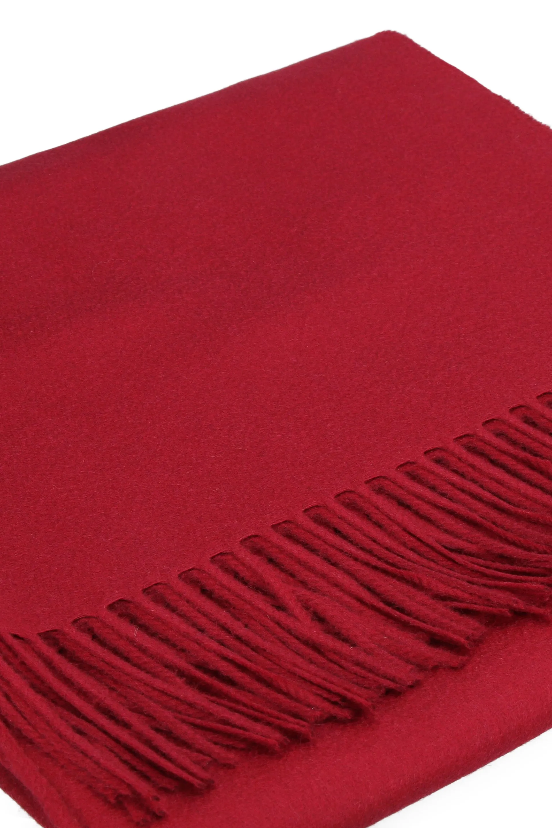 Max Mara Fringed Scarf